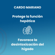 Cardo Mariano 50ml Glicerinado - Sotya
