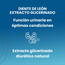 Diente De León Extracto 50ml - Sotya