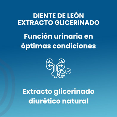 Diente De León Extracto 50ml - Sotya