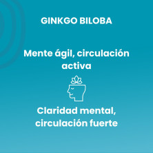 Ginkgo Biloba 50ml Glicerinado - Sotya