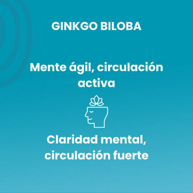 Ginkgo Biloba 50ml Glicerinado - Sotya