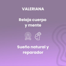 Valeriana Extracto 50ml - Sotya