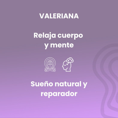 Valeriana Extracto 50ml - Sotya