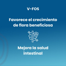 V-Fos 700mg 100 Comprimidos - Sotya