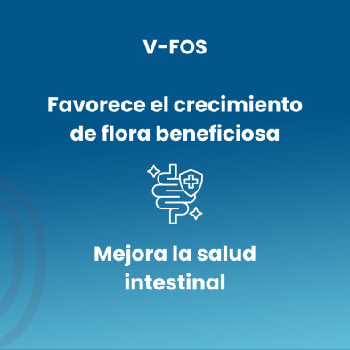 V-Fos 700mg 100 Comprimidos - Sotya