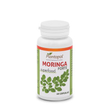 Moringa Forte 60 Cápsulas - Plantapol