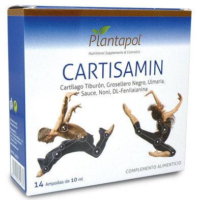Cartisamin 140ml 14amp