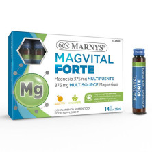 Magvital Forte 25ml 14 Viales