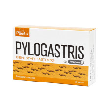 Pylogastris 90cap - Plantis