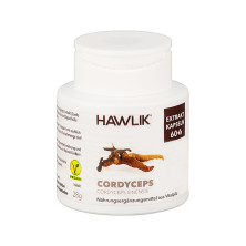 Cordiceps Extracto Puro 60cap - Hawlik