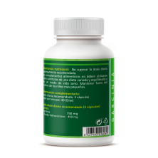 Garcinia Cambogia 500mg 90cap