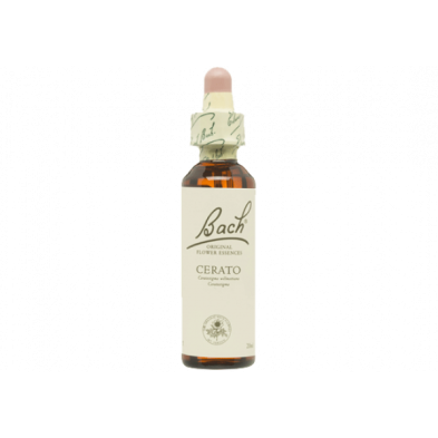 Cerato 20ml