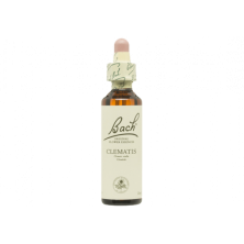 Clematis Clematide 20ml