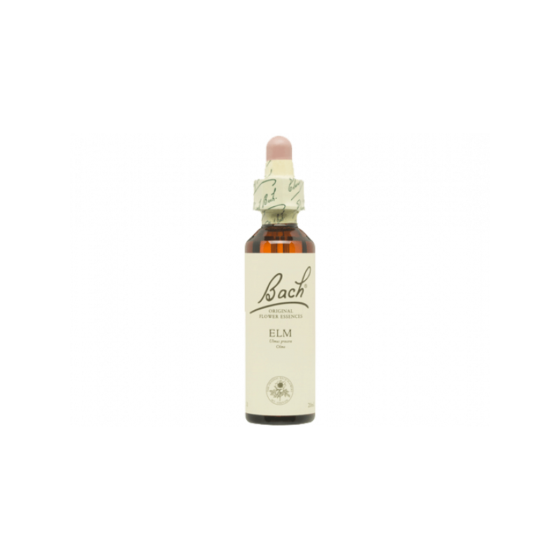 Elm Olmo 20ml