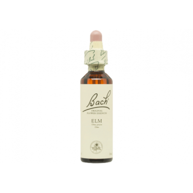 Elm Olmo 20ml