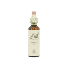 Larch Alerce 20ml