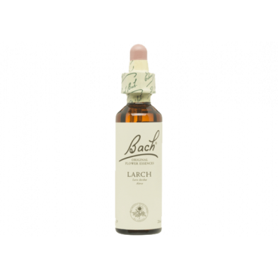 Larch Alerce 20ml