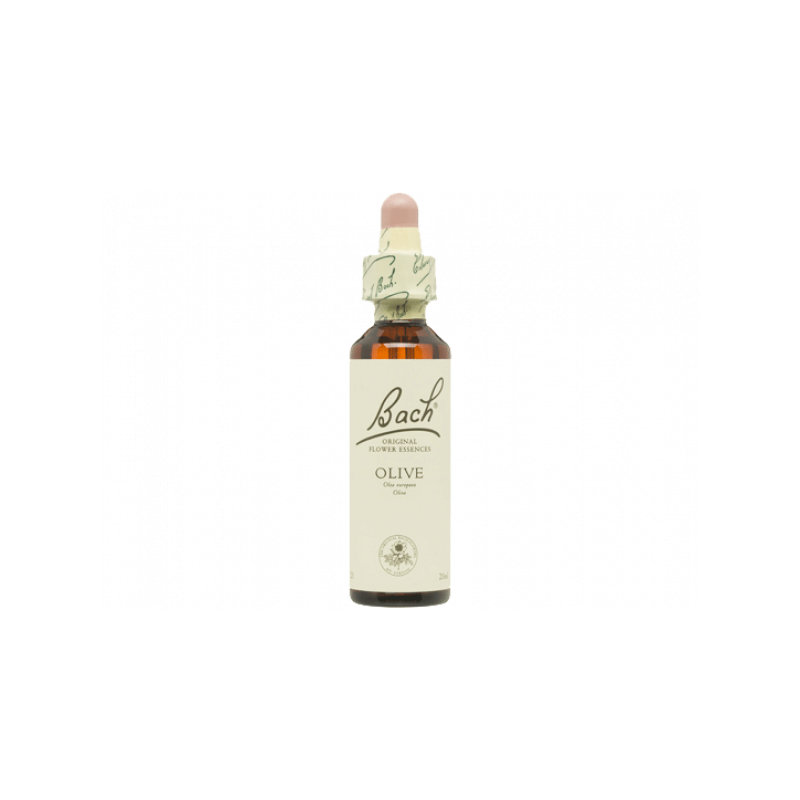 Olive Olivo 20ml