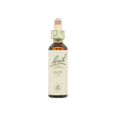 Olive Olivo 20ml