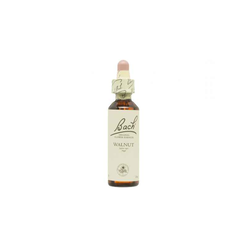 Walnut Nogal 20ml