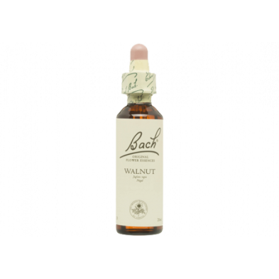 Walnut Nogal 20ml