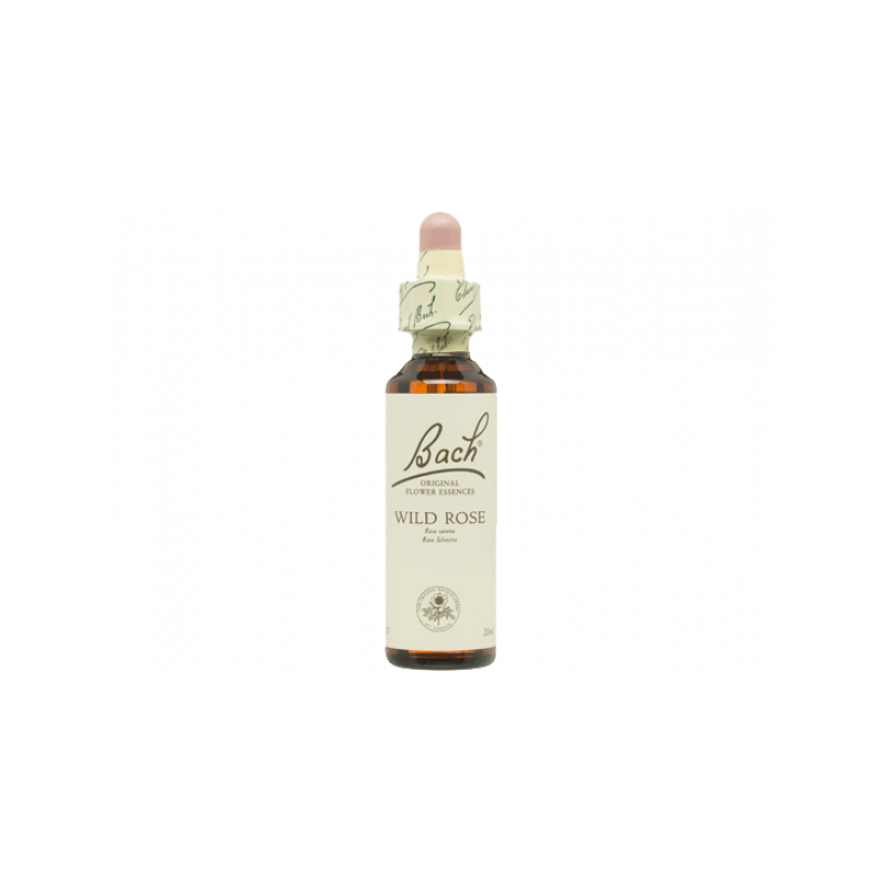 Wild Rose Rosa Silvestre 20ml