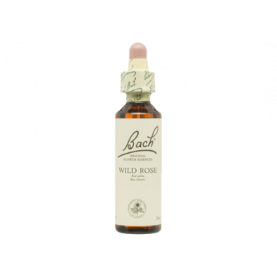 Wild Rose Rosa Silvestre 20ml