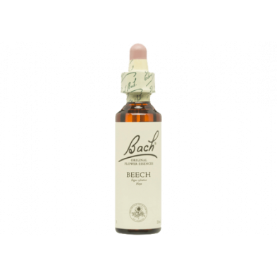 Beech Haya 20ml