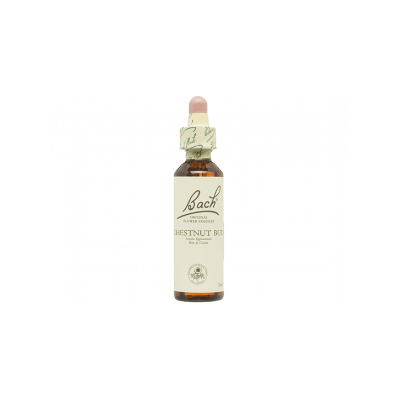 Chestnutbud Brote Castaño 20ml