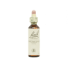 Chestnut Brote Castaño 20ml