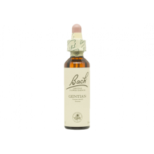 Gentian Genciana 20ml