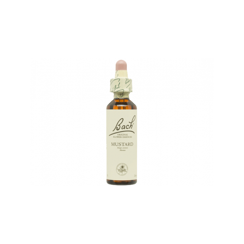 Mustard Mostaza 20ml