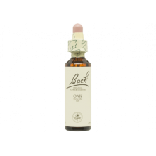 Oak Roble 20ml