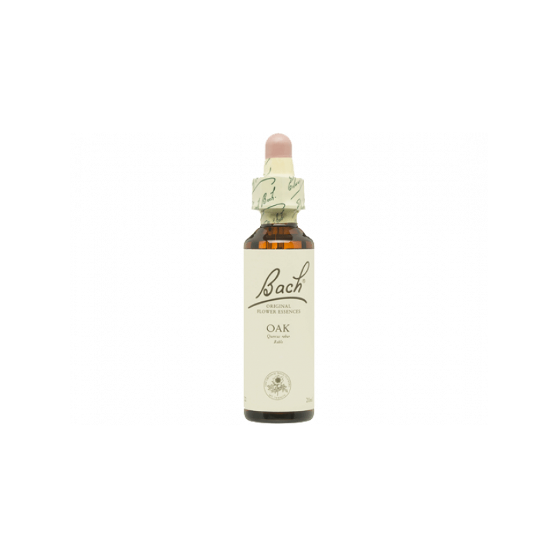 Oak Roble 20ml