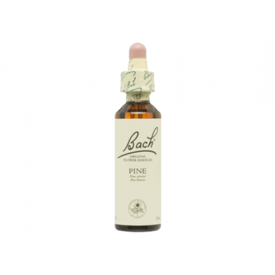 Pine Pino 20ml