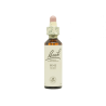 Pine Pino 20ml