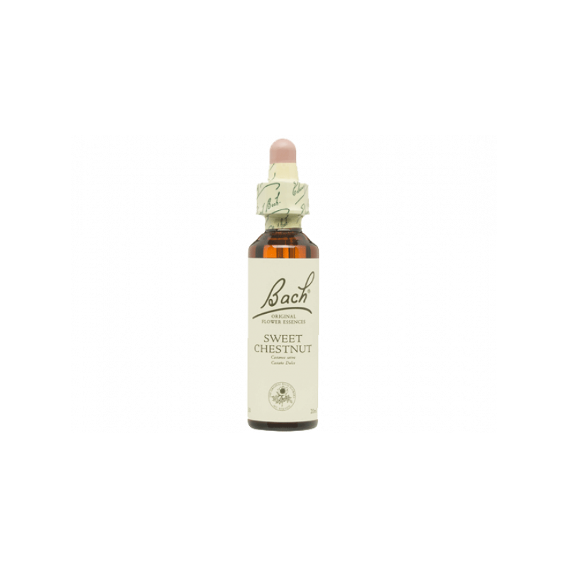 Sweet Chestnut Castaño Dulce 20ml