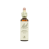 Sweet Chestnut Castaño Dulce 20ml