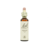 Vervain Verbena 20ml