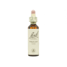 Wild Oat Avena 20ml