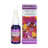 Flowers Of Life Proteccion 15ml