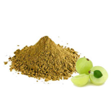 Amla Tratamiento Capilar Ayurvedico 100g