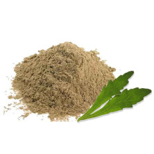 Bhringraj tratamiento capilar ayurvedico