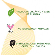 Tratamiento Ayurvedico Curcuma Polvo