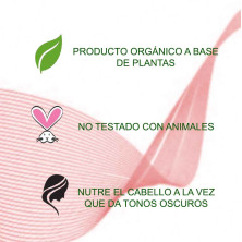 Tratamiento Ayurvedico Palo Campeche