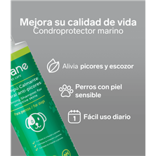 Champu Natural Anti-Picores 250ML - Disane