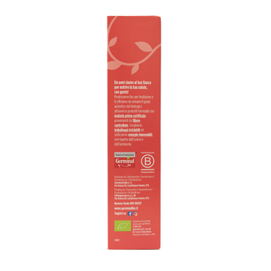 Galletas De Avena Sin Gluten Con Cacao Bio 250g