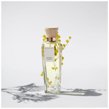 Agua Fresca De Mimosa Coriandro Eau De Toilette Vaporizador 120 Ml