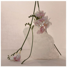 Nude Musk Eau De Parfum Vaporizador 60 Ml