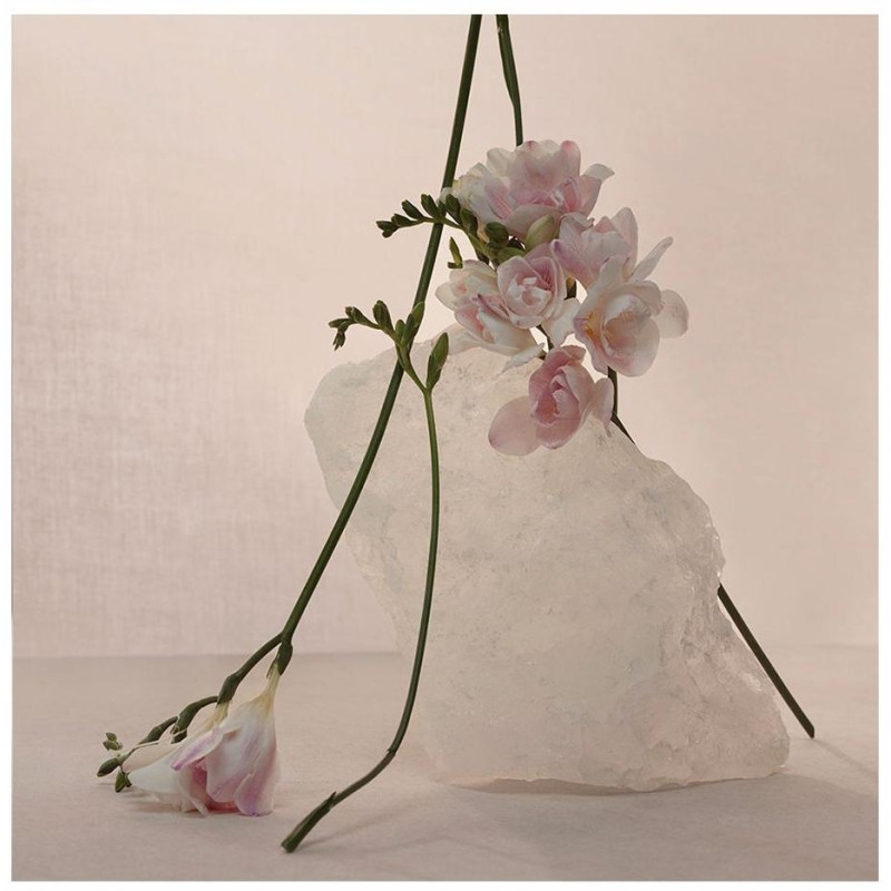 Nude Musk Eau De Parfum Vaporizador 60 Ml